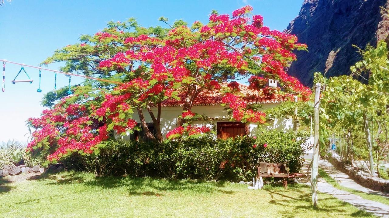 리베이라브라바 Faja Dos Padres 빌라 외부 사진
